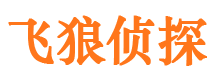 宁化寻人公司